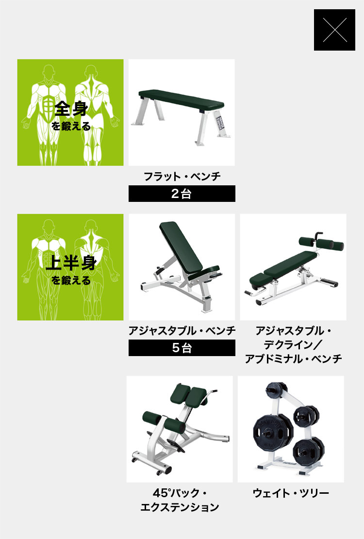 全身を鍛える フラット・ベンチ（2台） 上半身を鍛える アジャスタブル・ベンチ（5台） アジャスタブル・デクライン／アブドミナル・ベンチ 45°バック・エクステンション ウェイト・ツリー